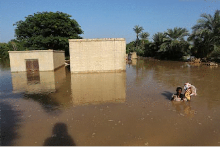 ONU advierte- el ciclo del agua se vuelve cada vez más extremo y peligroso
