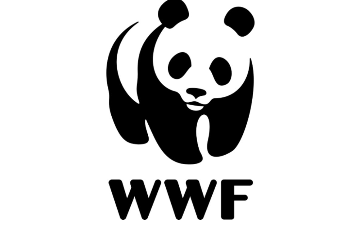 Pilar_Jacobo_Enciso_sera_nombrada_la_nueva_Directora_de_Conservacion_de_WWF_Mexico_30092025-1