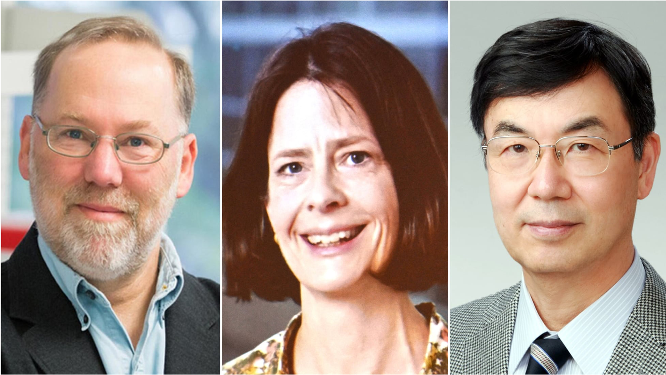 Estados Unidos y Japón conquistan el Premio Nobel de Medicina 2025