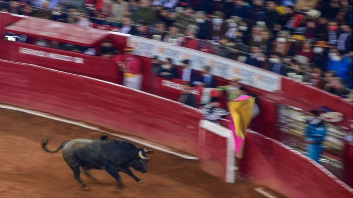 Suprema Corte no unifica postura sobre corridas de toros en México