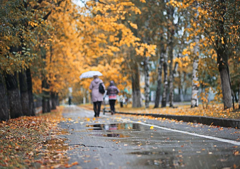 llego-el-otono-meteorologico-por-que-esta-estacion-es-la-mas-peligrosa-para-la-temporada-de-lluvias-en-mexico-1756771028139_1024