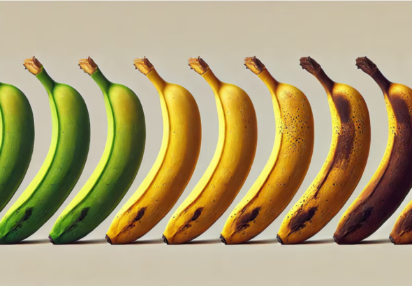 Screenshot 2026-02-27 at 16-53-55 Cómo conservar bananas en casa expertos revelan el método sencillo para reducir el desperdicio de la fruta - Infobae