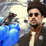 bad-bunny-sapo-cacho-concho-141025