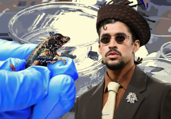 bad-bunny-sapo-cacho-concho-141025