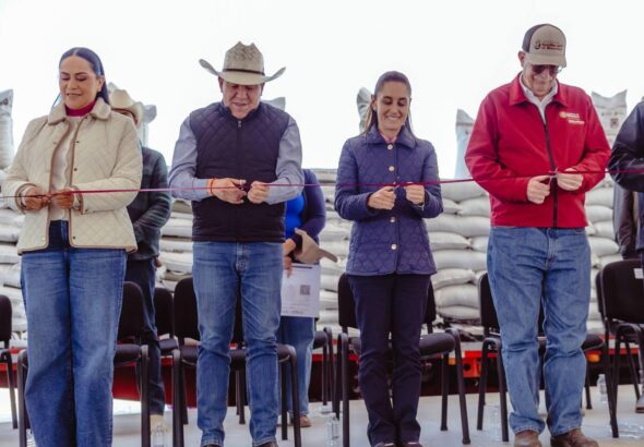 WhatsApp Image 2026-03-28 at 16.03.11 (1)