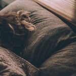 apnea-desarrola-cancer