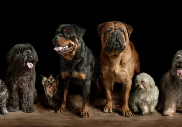 a015efc806b0d4a5f0c20b2d58914081