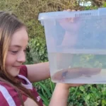 ajolote-puente-gales-reino-unido-2-23042026