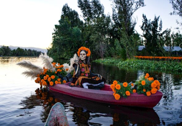 Xochimilco 3