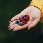 frutos rojos