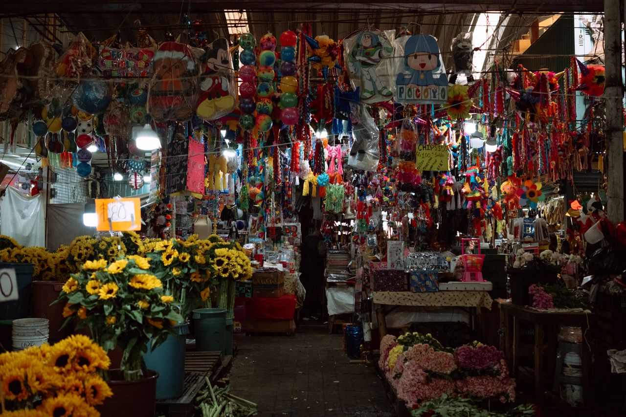 coyoacan
