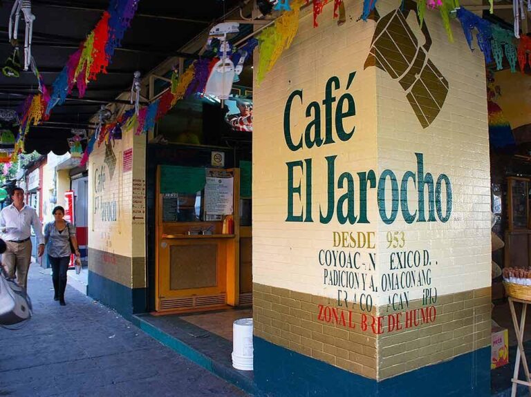 el jarocho 2