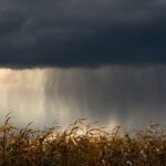 lluvia 2