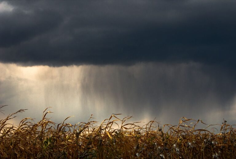 lluvia 2