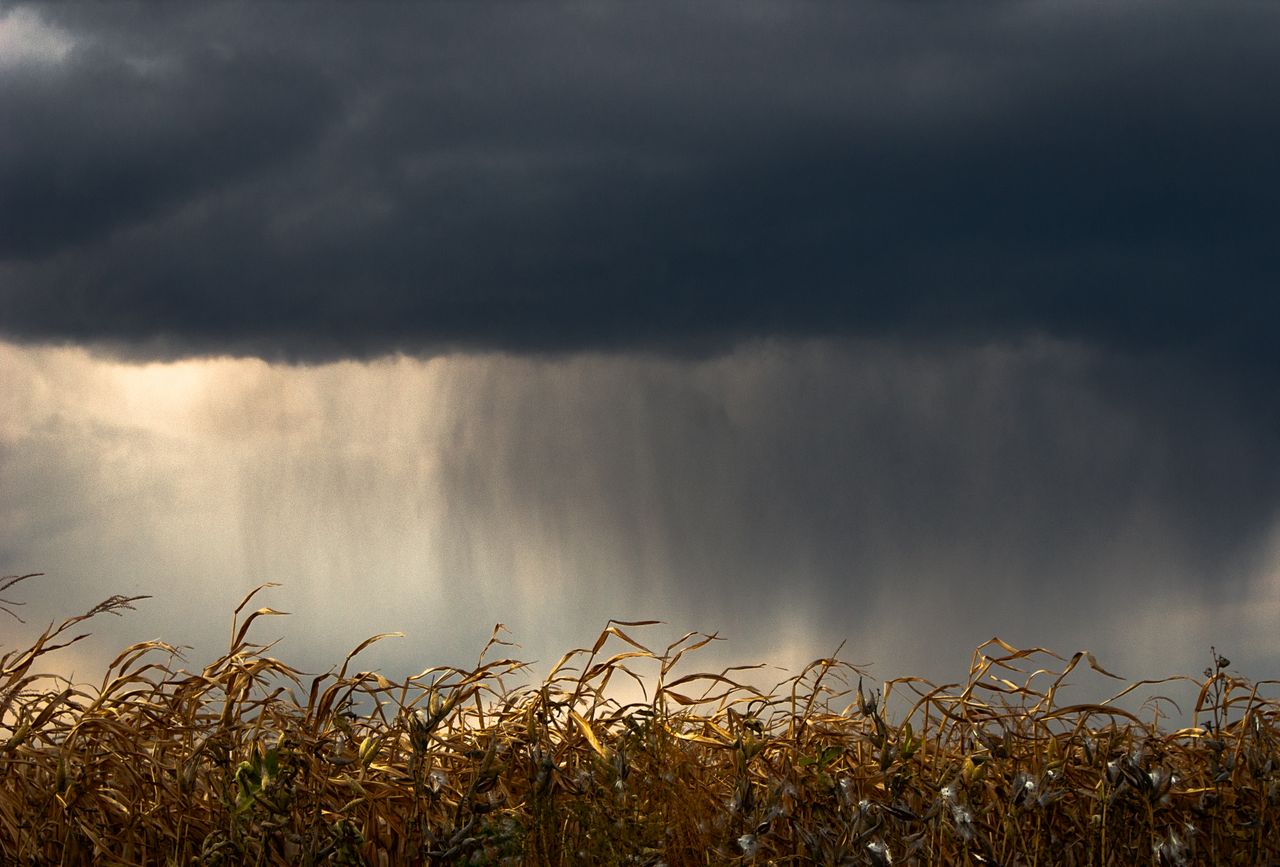 lluvia 2