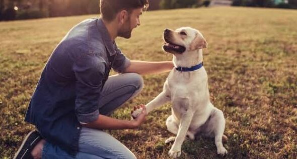 perro