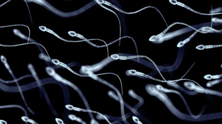 cnne-1743965-semen