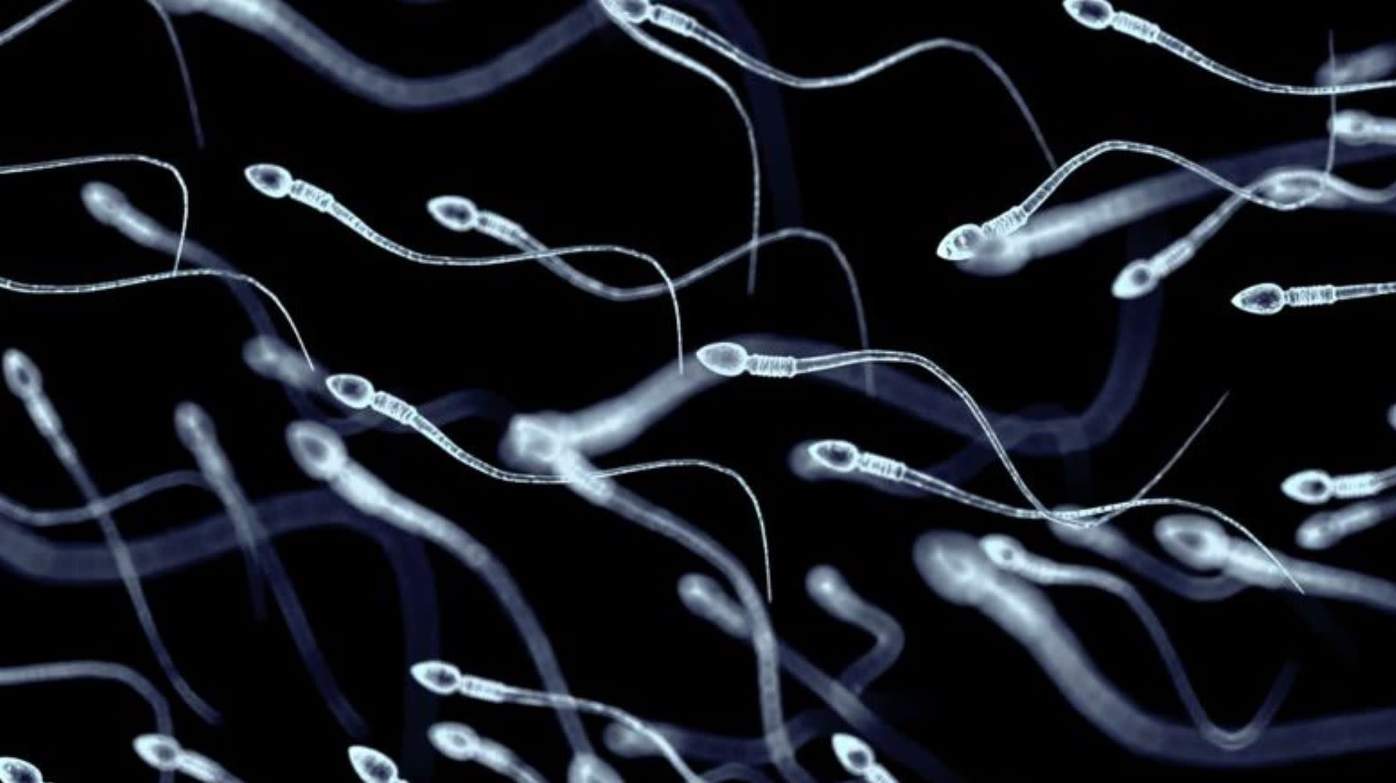 cnne-1743965-semen