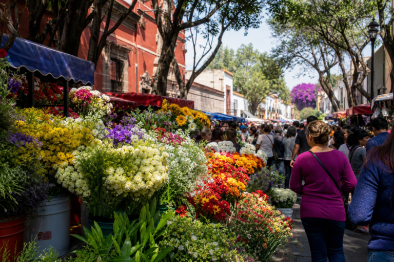 San Ángel: una feria de flores que cuenta la historia de la ciudad, imagen editorial de la Ciudad de México