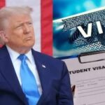 EU revoca más de 175 mil visas a extranjeros durante gobierno de Trump