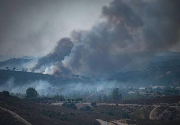 Incendios forestales golpean Europa- Bélgica y Grecia concentran la emergencia