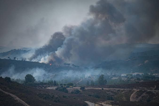 Incendios forestales golpean Europa- Bélgica y Grecia concentran la emergencia