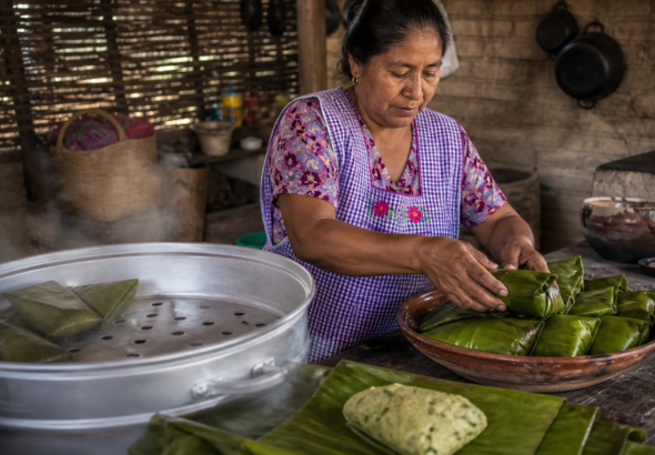 Cocinera tradicional acomoda tamales de chipilín envueltos en hojas dentro de una vaporera.