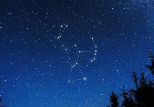 orion-02082026