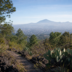 parque-ecologico-tlalpan