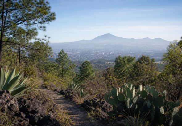 parque-ecologico-tlalpan