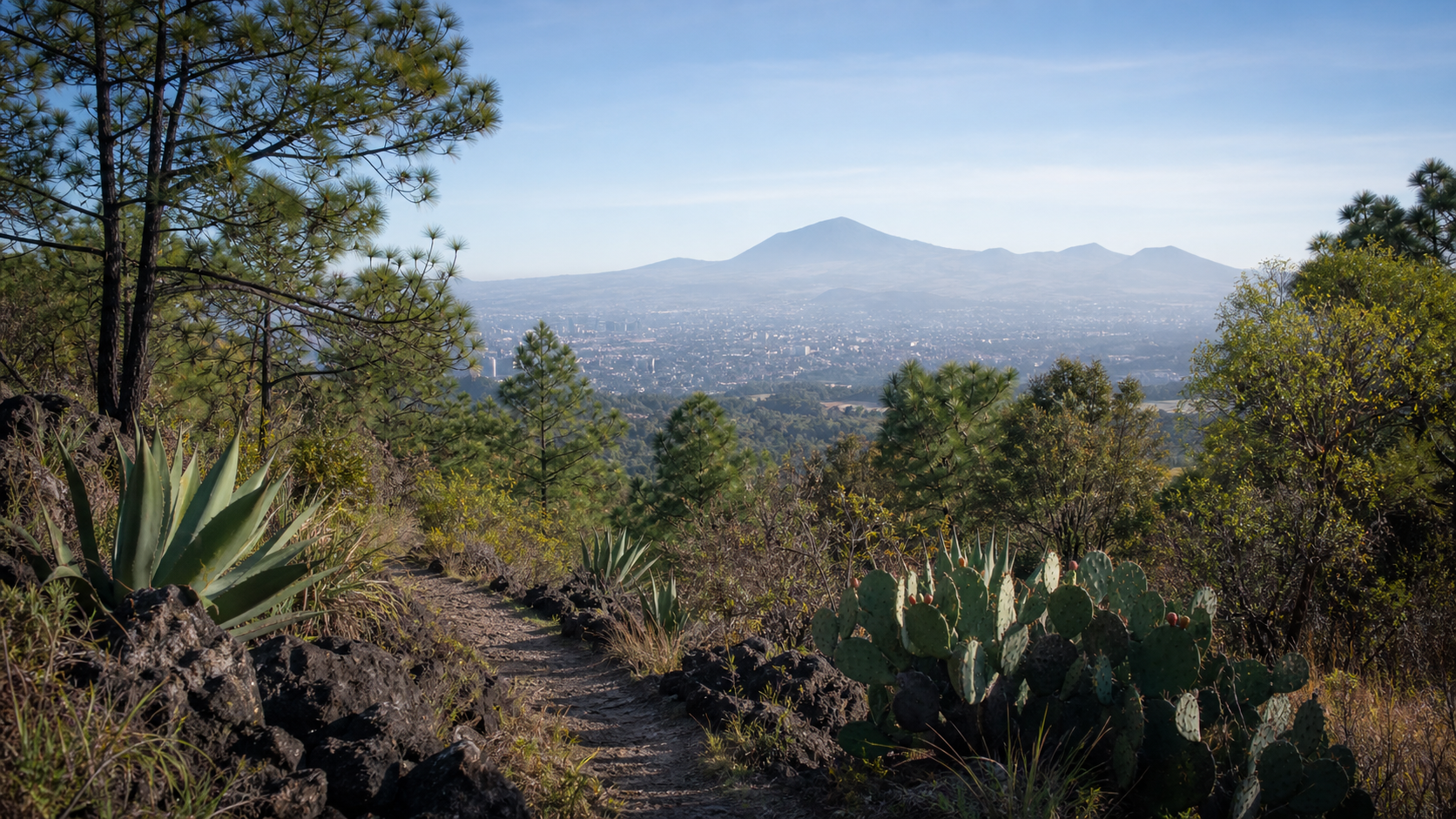 parque-ecologico-tlalpan
