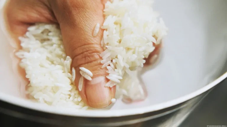 arroz