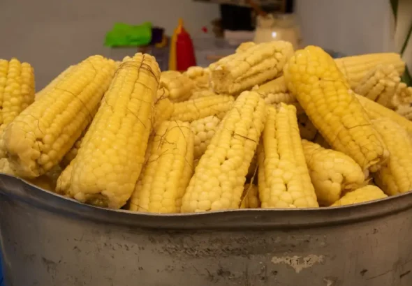 elote-feria-tlahuac