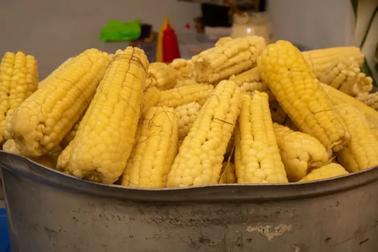 elote-feria-tlahuac
