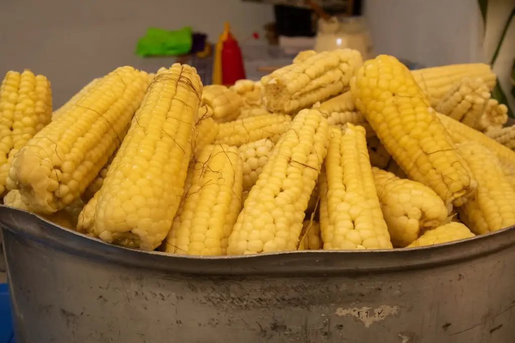 elote-feria-tlahuac